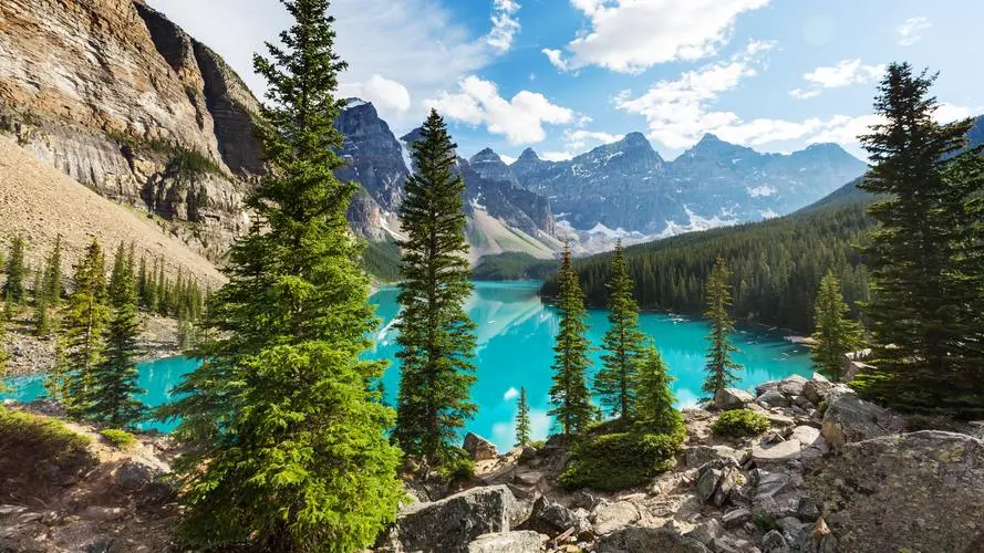新型智慧城市创意